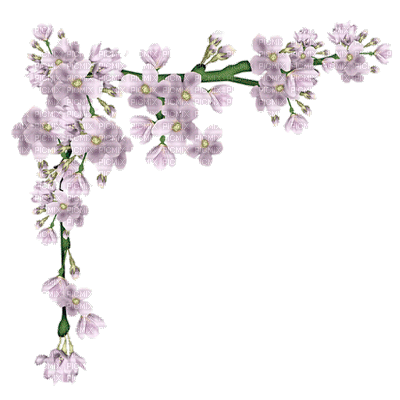 530521_e9810.gif