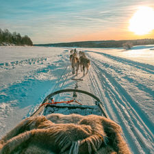 Husky sled ride