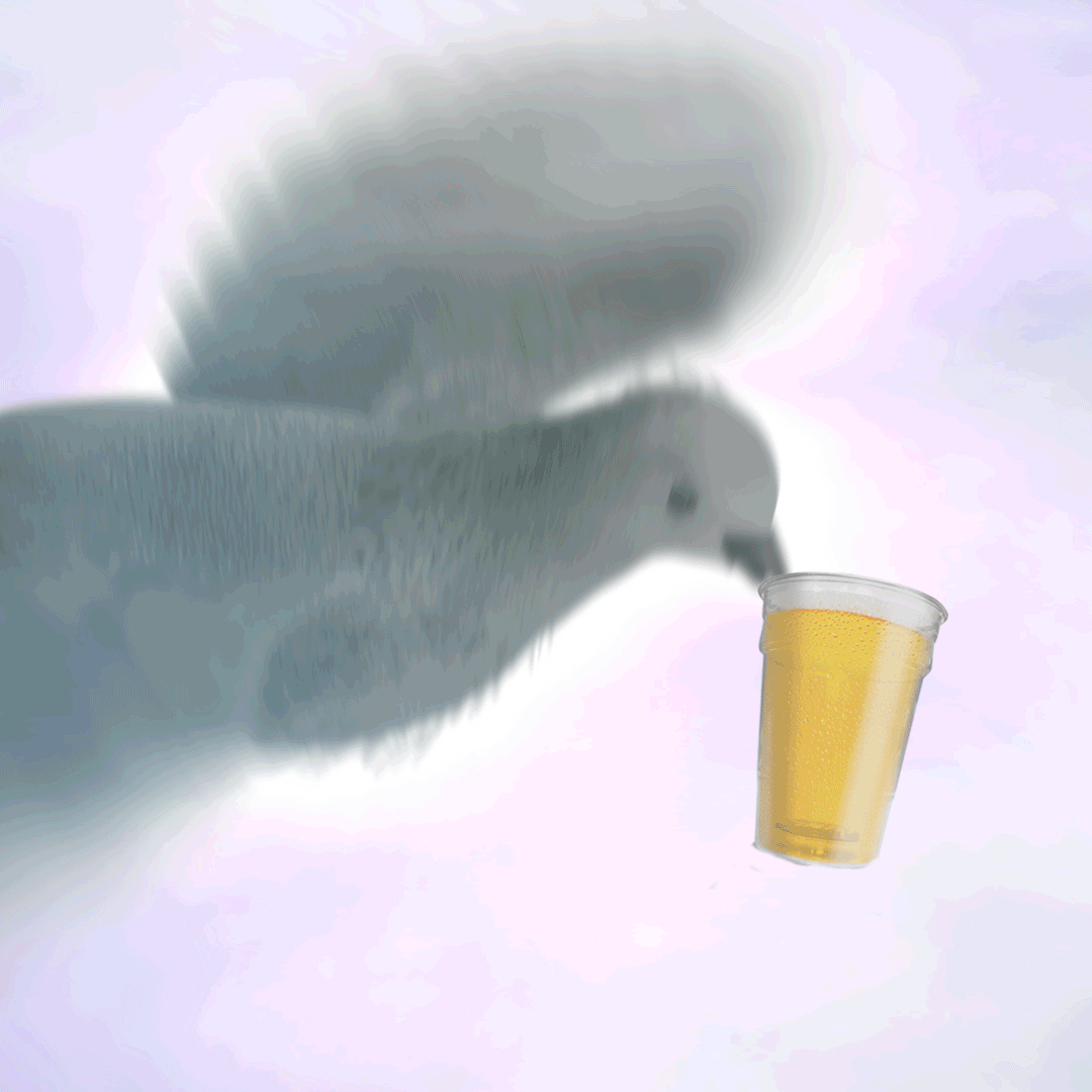 DoveBeer.gif