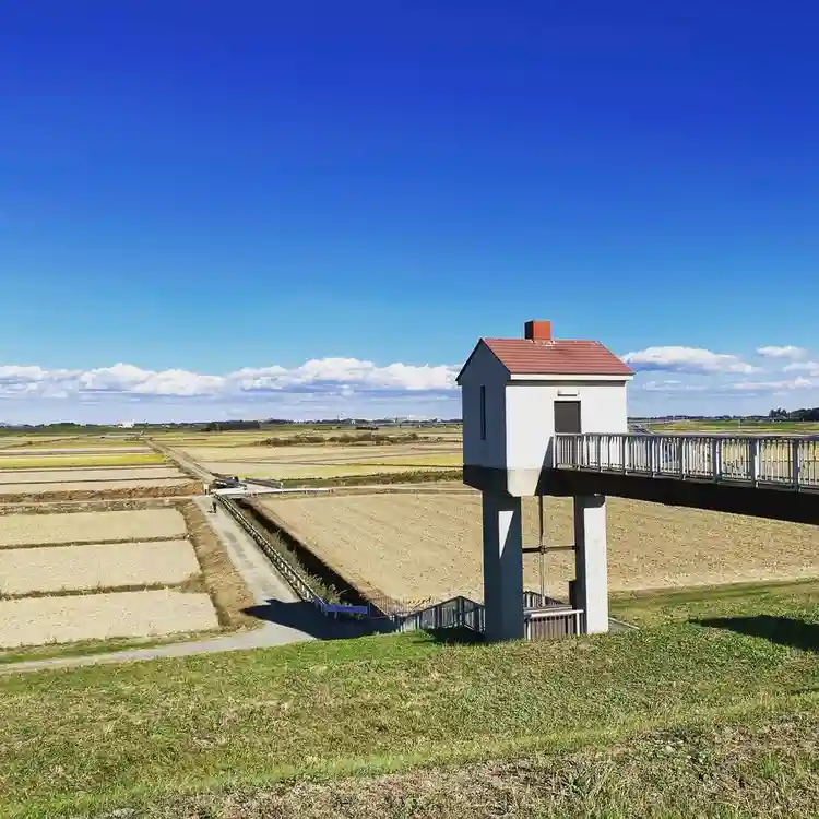 オランダの田園風景のような場所