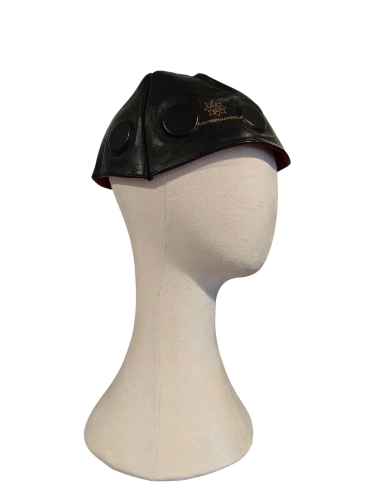 Biomagnetic Hat- Second Model