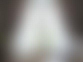 Elevate Your Home with Velvet Tassel Curtains: Design Tips and Practical FAQs