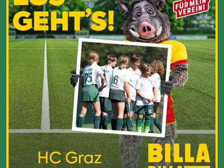 Billa-Lose sammeln 2024