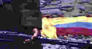 images.jpeg