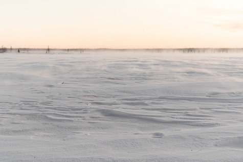tundra_s_people_01.jpeg