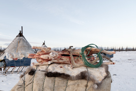 tundra_s_people_10.jpeg