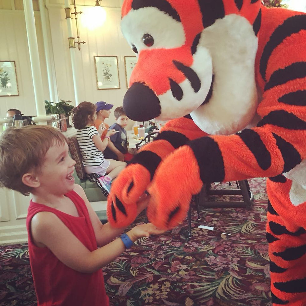 Disney, Kids, before you go, Disney tips and tricks, magic, real, believe, tigger