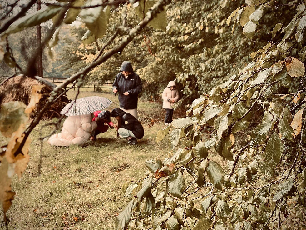 image0.jpg