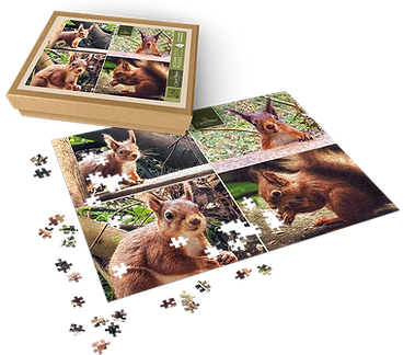Gallery Jigsaw - Puzzle & Box - SQUIRRELS.png