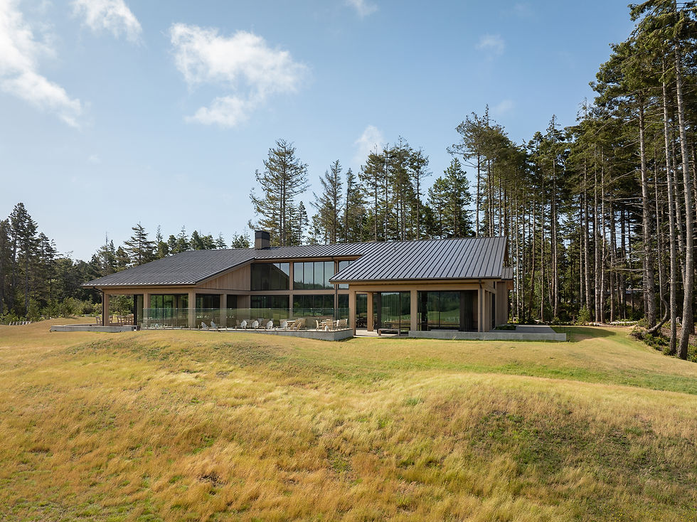 Modern wooden house with large windows in a grassy field, surrounded by tall pine trees under a clear blue sky. Calm and serene setting.