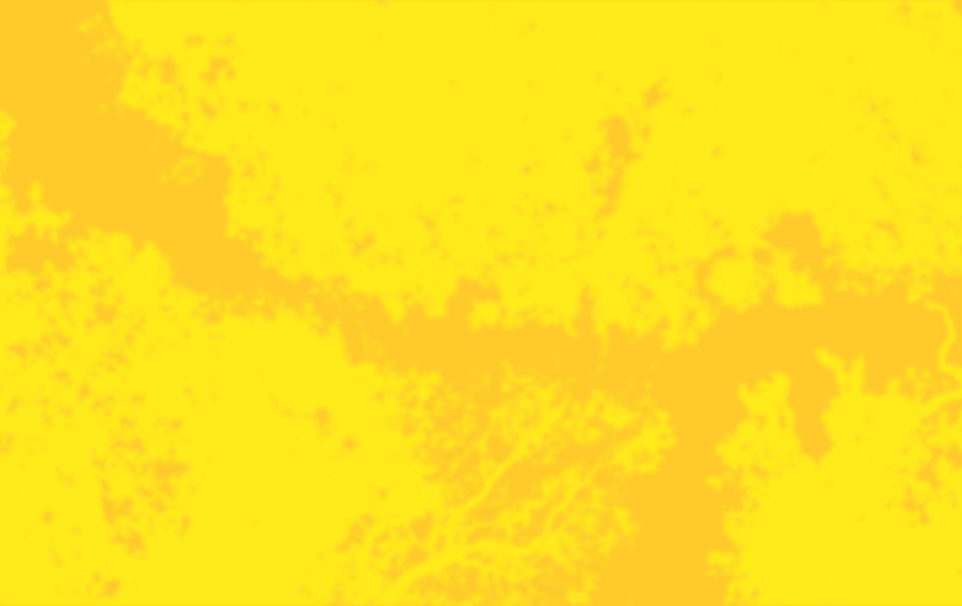 Can't -miss things to see at IDS Rollout wallpaper yellow trees and yellow skykygazing