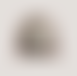 GRAY Loves: Oxbow Mirror by Hinterland Design