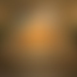 Andee Hess reveals the design of Q, a new restaurant born from a bygone favorite.