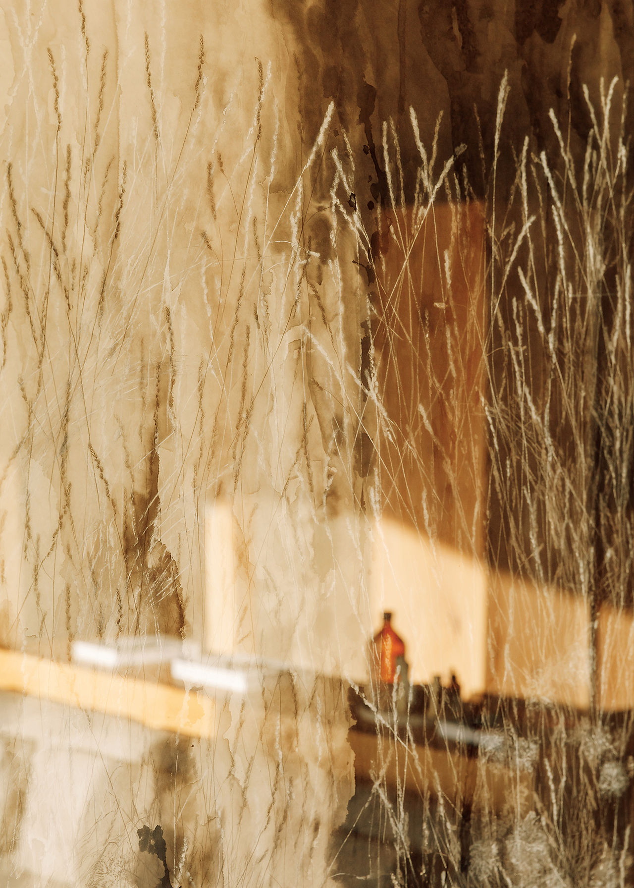 artistic photo looking through beach grass into resort spa