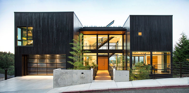 Modern architecture house with black wood siding, flat roof, large windows
