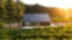 Modern wine tasting room with dark roof amidst lush vineyard at sunset, surrounded by tall trees. Sunlight casts a warm glow over the serene landscape. GRAY Awards. GRAY magazine. Hospitality design.