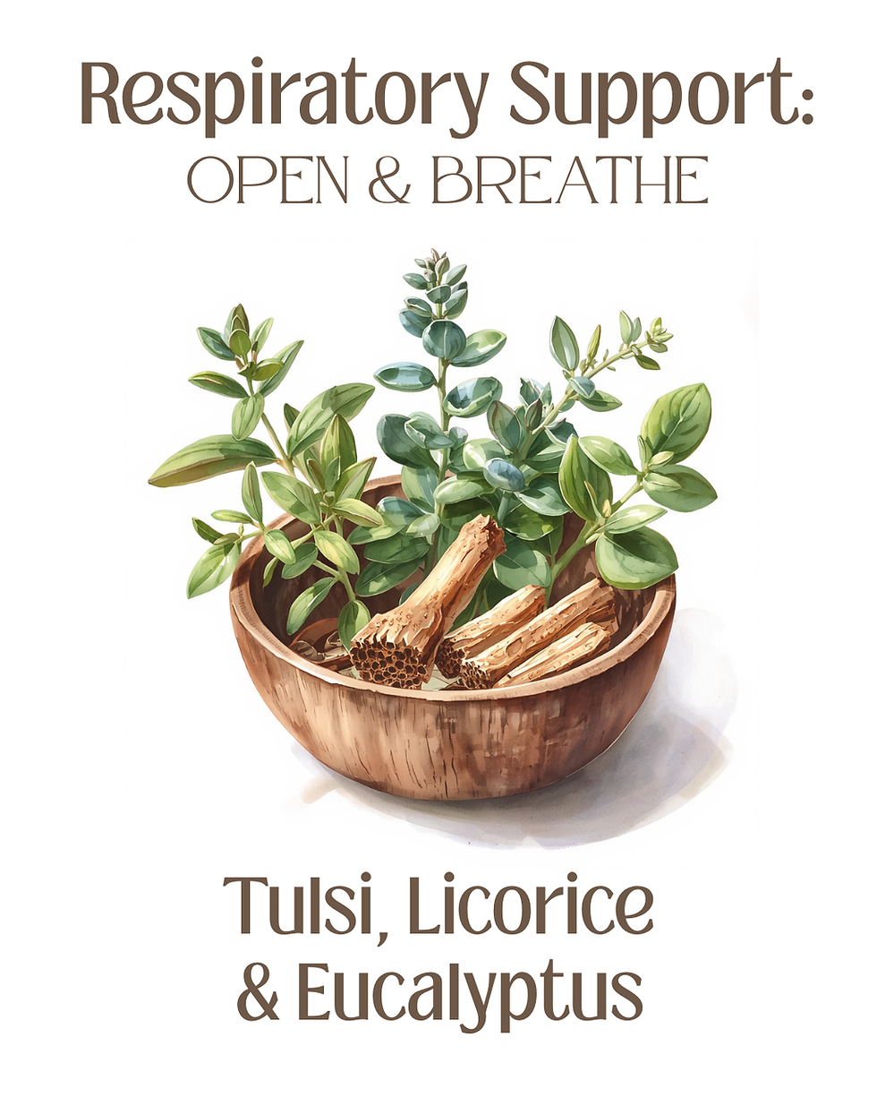 Spring herbs: Tulsi, Licorice & Eucalyptus