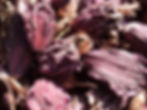large cardamom1.JPG