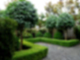 Formal Garden 