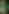 nymphreflection-ECO-closeup1.png