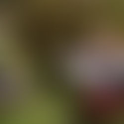 Advice for New Teachers