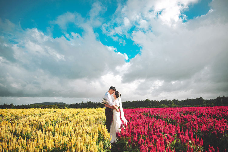 黃紅雞冠花海甜蜜濟州婚紗照 濟州婚紗攝影 One Plus One Wedding