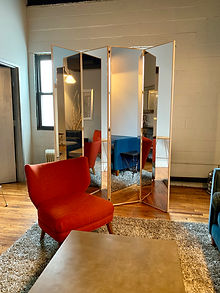 4 Panel Room Divider.jpeg