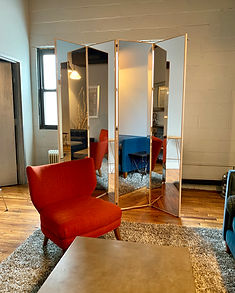4 Panel Room Divider.jpeg