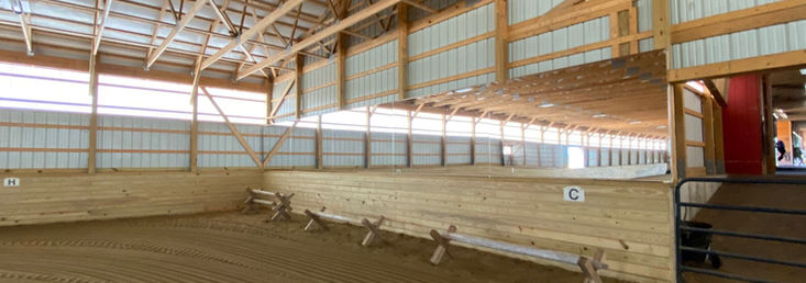 arena mirrors, shatterproof mirrors, glassless mirror, safety mirrors, litemirror, dressage mirrors, equestrian mirrors, barn mirrors, horse mirrors, mirrors for horses, mirrors for dressage