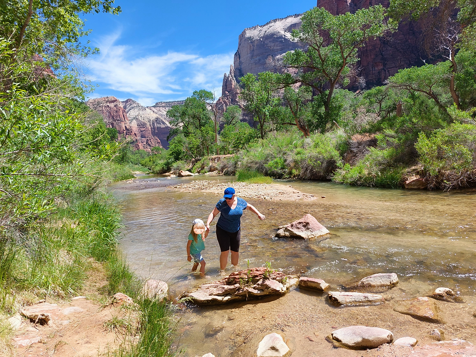 Fluss beim Zion Nationalpark