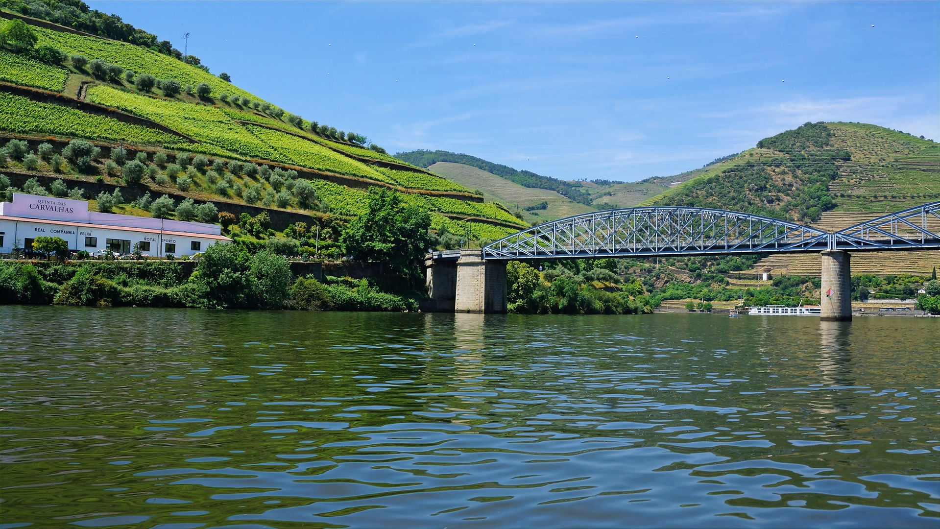 Aussicht auf den Fluss mit einer Brücke die über den Fluss führt. Weiner am Ufer und grüne Hügel im Hintergrund.