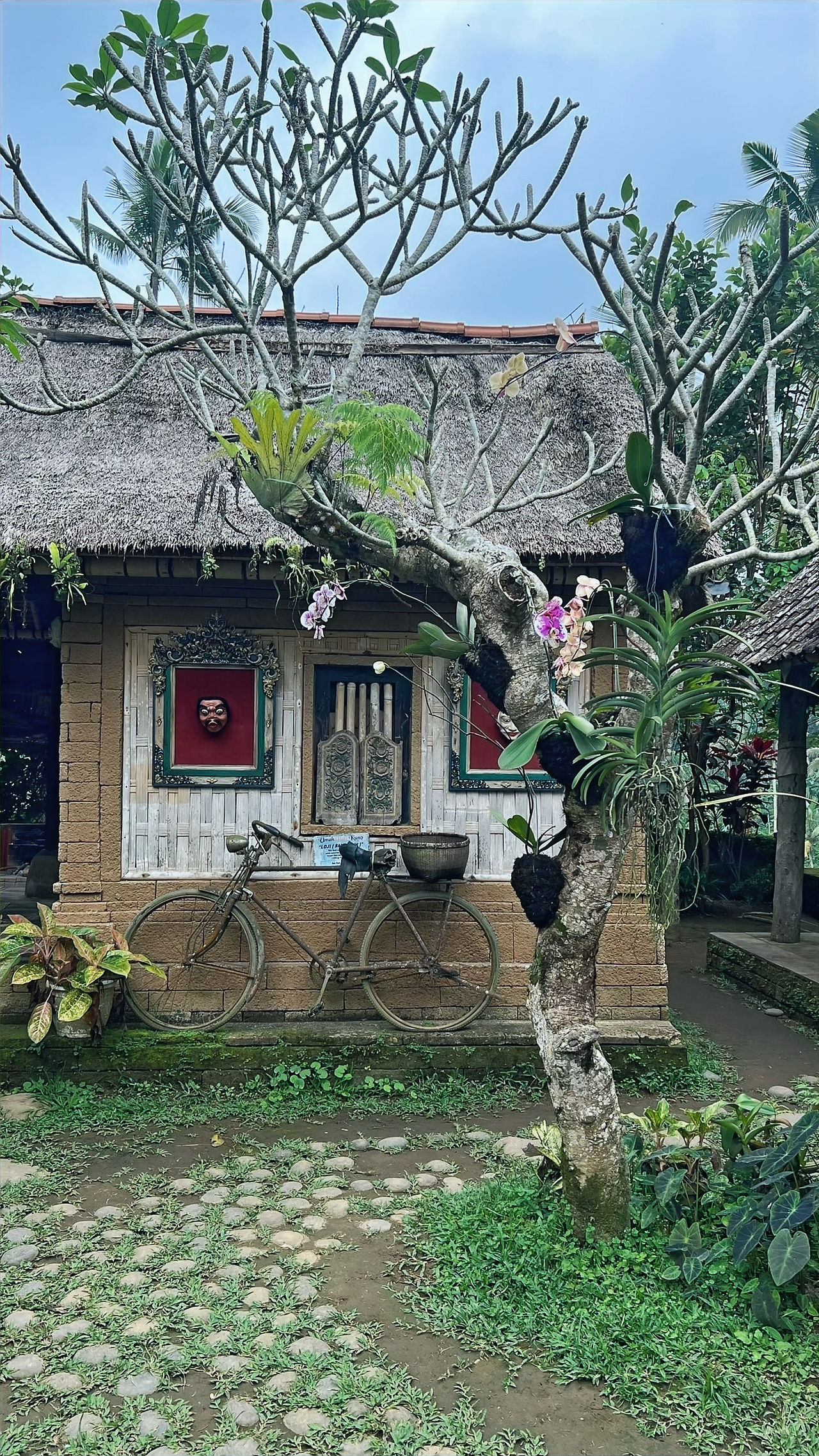 Bali Kuno Coffee Plantage