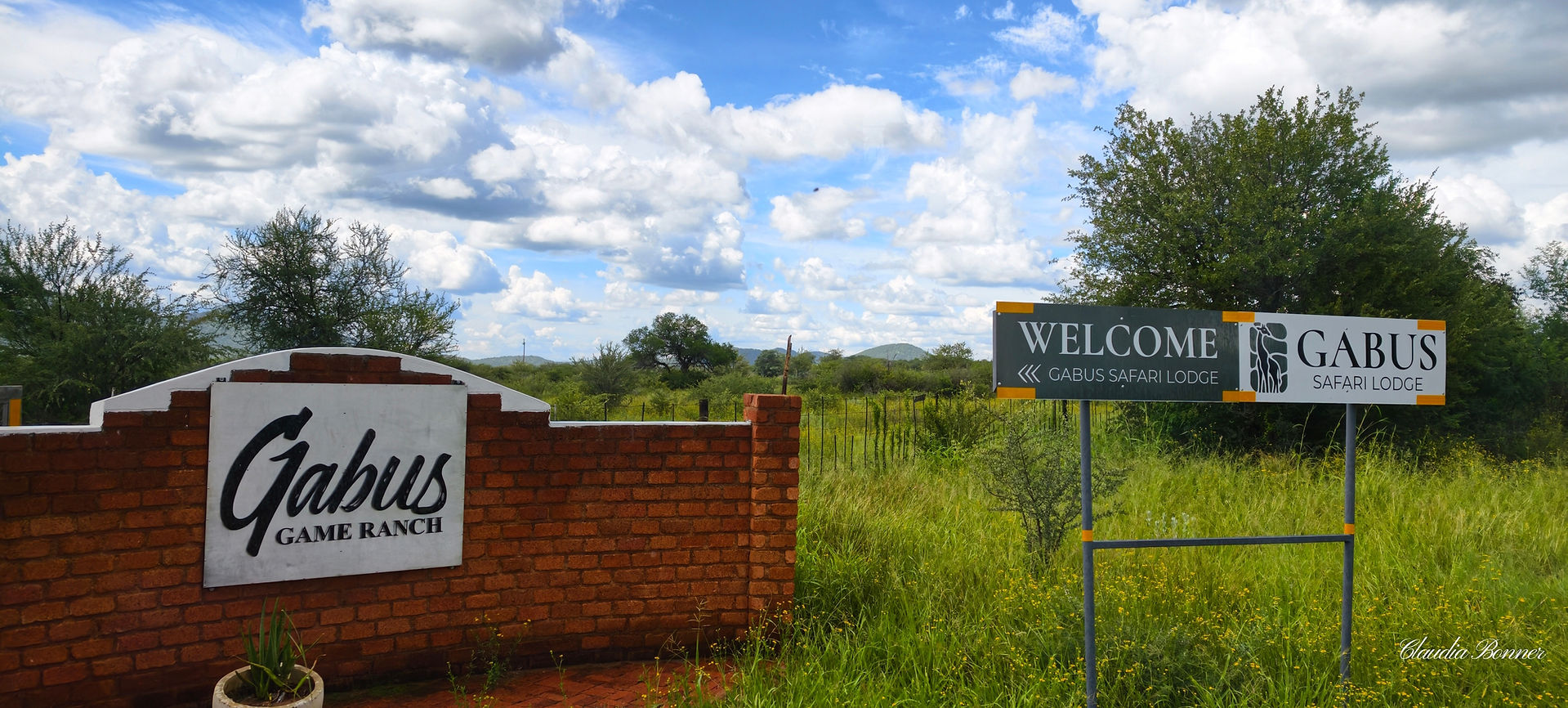 Gabus Safari Lodge