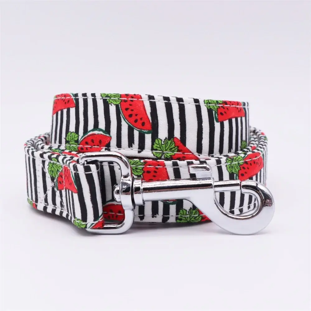 Watermelon Dog Lead