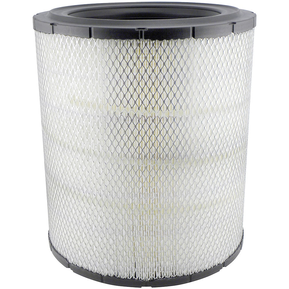 RS5455: Filtro de aire de sellado radial