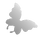 butterfly.png
