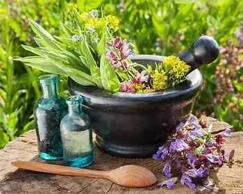 Pharmacy - Natural Vs Synthesized