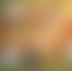 Delicious Pot Luck Dinner Event Recipes