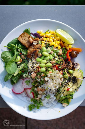 vegan yoga retreat Tenerife