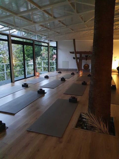 Restorative yoga retreat