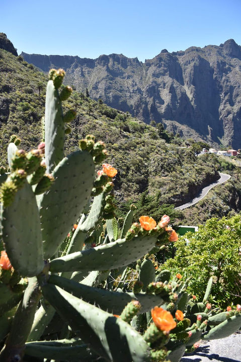 Hiking retreat in Masca Tenerife