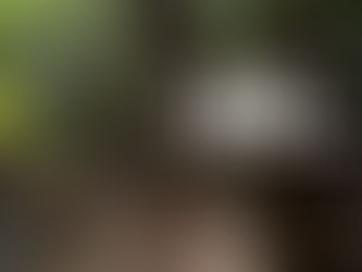 Lobo Enduro Desierto de los Leones