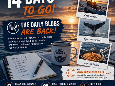 The blogs are back!!