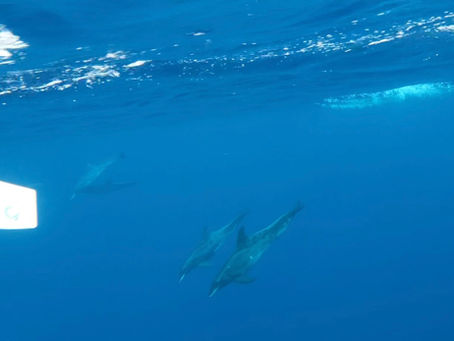 Saturday 21st December – 10am