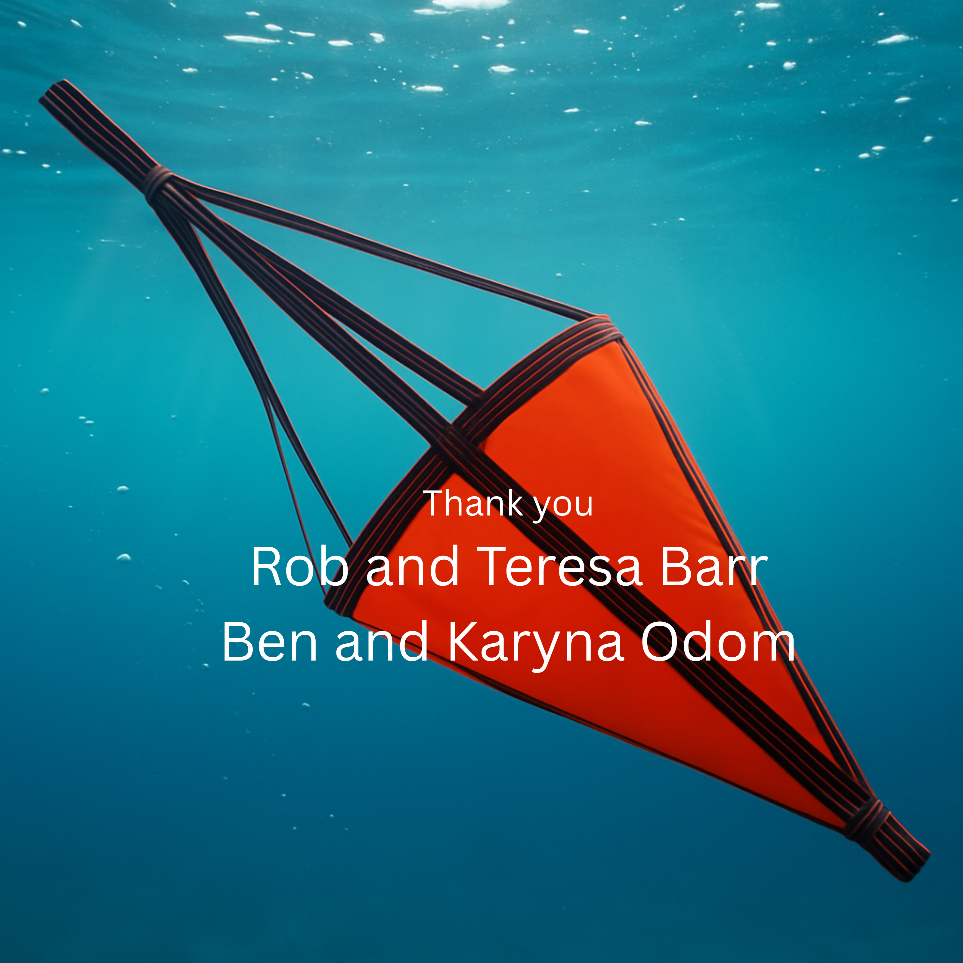 Buy the team - Drogue