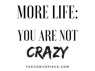 More Life: You Are Not Crazy