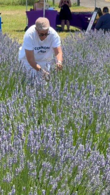 U Pick Lavender