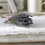 Thumbnail: Dried Lavender Bouquet
