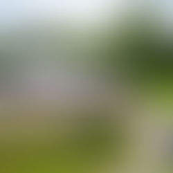 Vooruitdenken in eventplanning: zo boek je op tijd de juiste tent voor zomer 2026