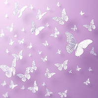 lilac background with lots of faint white butterflies .jpg